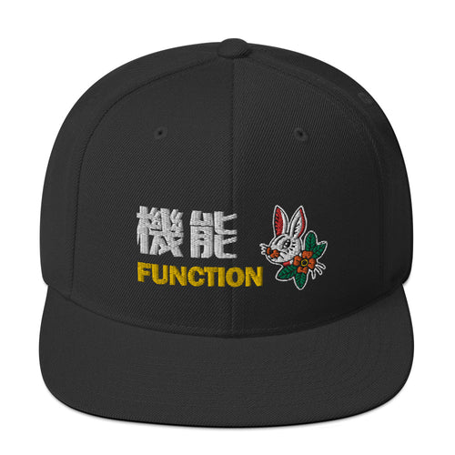 Function 3D Embroidered Snapback Hat